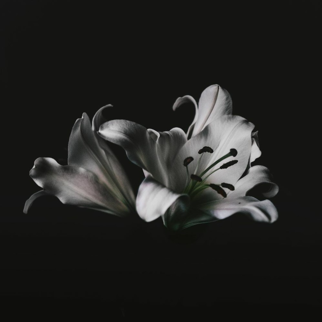FLXRI